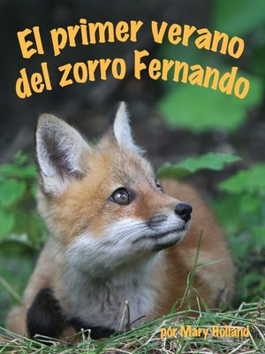 cover image of El primer verano del zorro Fernando